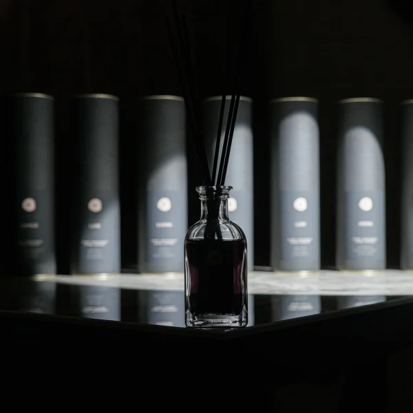 Namų kvapas su lazdelėmis "FEMOTION" 100 ml